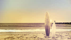 Vintage Beach Surfboards Sunset Wallpaper