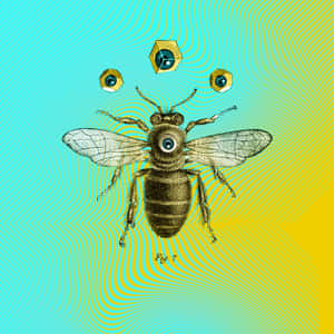 Vintage Bee Illustration Aesthetic Wallpaper