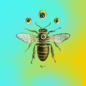 Vintage Bee Illustration Aesthetic Wallpaper
