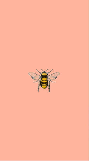 Vintage Bee Illustration Peach Background Wallpaper