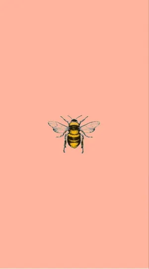 Vintage Bee Illustration Peach Background Wallpaper