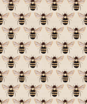 Vintage Bee Pattern Aesthetic Wallpaper