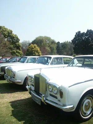 Vintage Bentley T1 Luxury Sedan Wallpaper