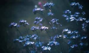 Vintage Blue Floral Mood Wallpaper