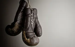 Vintage Boxing Gloves Hanging Wallpaper