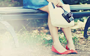 Vintage Cameraand Red Shoes Park Bench Wallpaper