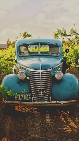 Vintage Car In Field Iphone Wallpaper