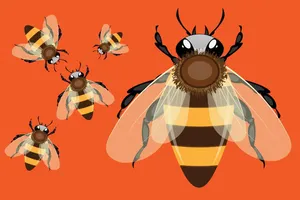 Vintage Cartoon Bees Orange Background Wallpaper