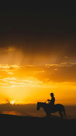 Vintage Cowboy At Sunset Wallpaper