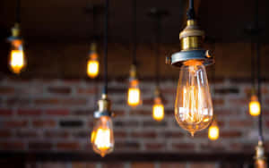 Vintage Edison Pendant Lights Wallpaper