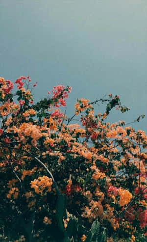 Vintage Floral Sky Aesthetic Wallpaper