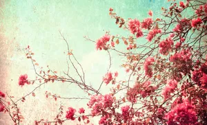 Vintage Floral Sky Texture Wallpaper