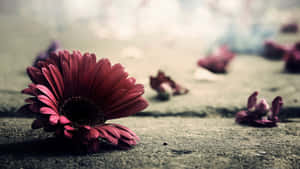 Vintage Flower On The Ground Wallpaper
