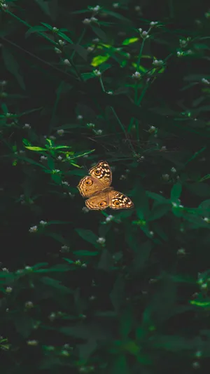 Vintage Green Butterflyin Nature.jpg Wallpaper