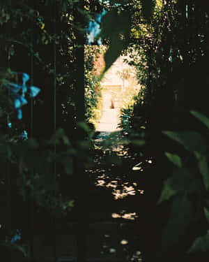 Vintage Green Garden Pathway Wallpaper