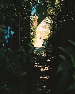 Vintage Green Garden Pathway Wallpaper