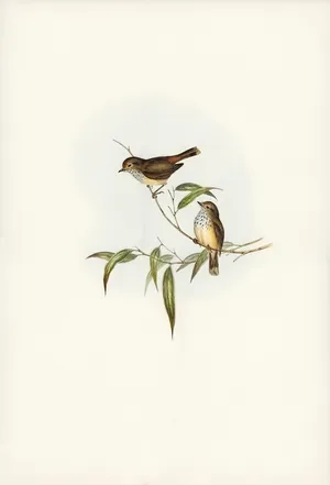 Vintage Illustrated Birdson Branch Wallpaper