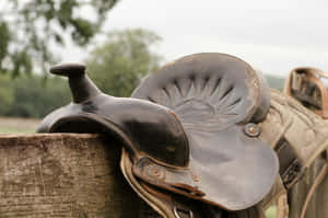 Vintage Leather Horse Saddle Wallpaper