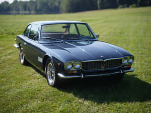 Vintage Maserati Mexico Parkedon Grass Wallpaper