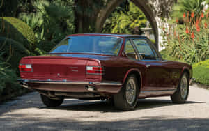 Vintage Maserati Mexico Rear View Wallpaper