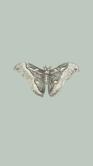 Vintage Moth Illustration Wallpaper