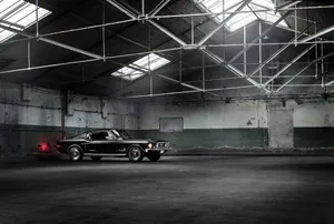 Vintage Muscle Carin Warehouse Wallpaper