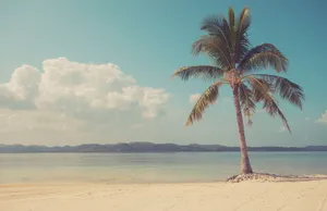 Vintage Palm Beach Serenity.jpg Wallpaper