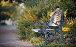 Vintage Patio Bench Wallpaper