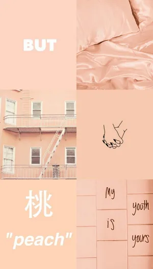 Vintage Peach Aesthetic Collage Wallpaper