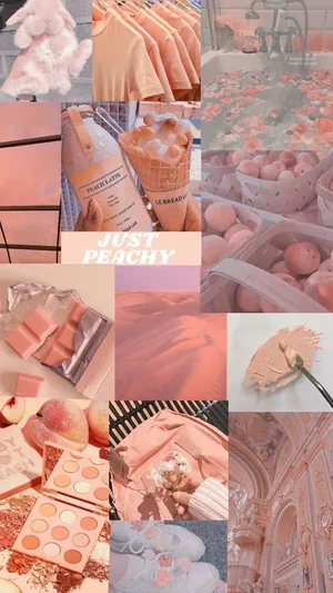 Vintage Peach Aesthetic Collage Wallpaper