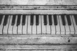 Vintage Piano Keys Blackand White Wallpaper