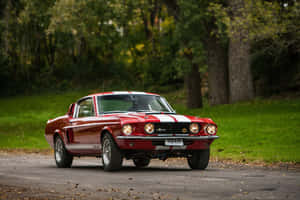 Vintage Red Shelby G T500 Parked Wallpaper