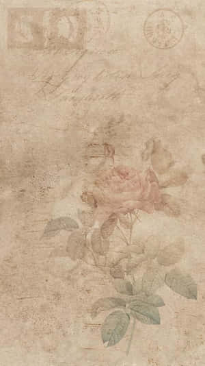 Vintage Rose On Wood Background Wallpaper Wallpaper