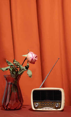 Vintage Roseand Radio Orange Aesthetic.jpg Wallpaper