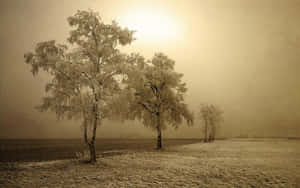 Vintage Sepia Landscape Wallpaper