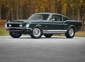 Vintage Shelby G T500 K R Green Wallpaper