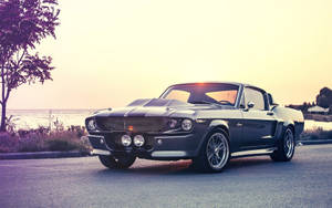 Vintage Shelby Mustang Muscle Car Wallpaper