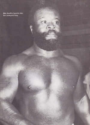 Vintage Shot Of Wrestling Icon, Junkyard Dog Wallpaper