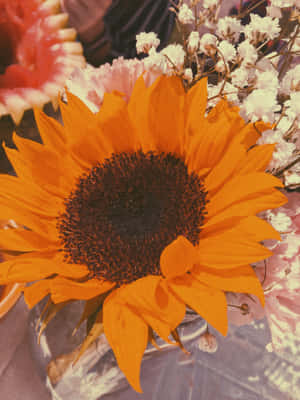 Vintage Sunflower Orange Tint Wallpaper