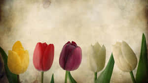 Vintage Tulips Background Wallpaper