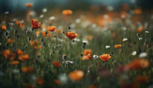 Vintage Wildflower Meadow Serenity Wallpaper