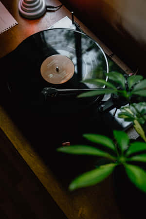 Vinyl Record Player Mood Wallpaper