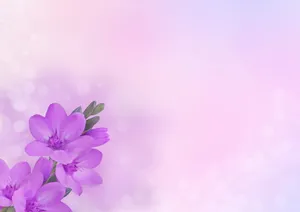 Violet Flower Pastels Aesthetic Computer Wallpaper