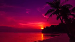 Violet Sunset On The Beach Wallpaper