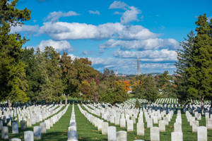 Virginia Arlington National Cemetery Wallpaper