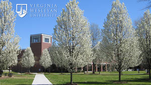 Virginia Wesleyan University Wallpaper