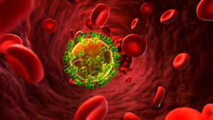 Virus Particlein Bloodstream Wallpaper