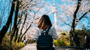 Visitor Admiring Namsan Seoul Tower During Cherry Blossom Season Wallpaper