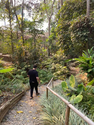 Visitor_at_ Butterfly_ Park_ Pathway.jpg Wallpaper