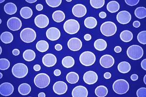 Vivid Cobalt Blue Wallpaper